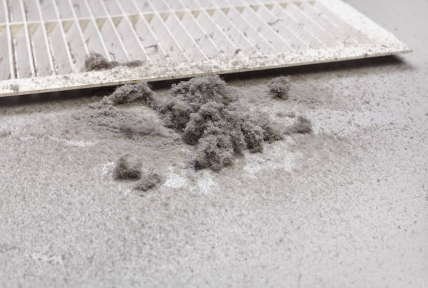 Best Home Air Vent Cleaning  in Lexington Hills, CA